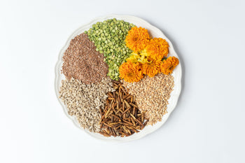 The Benefits of Insect-based Chicken Feed