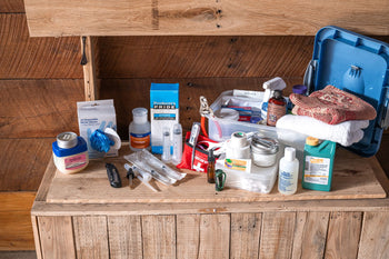 Chicken First Aid Kits: Essential Supplies Every Flock Needs