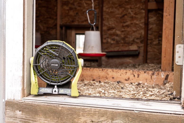 Chicken Coop Odor Control 101: How to Prevent and Eliminate Smells