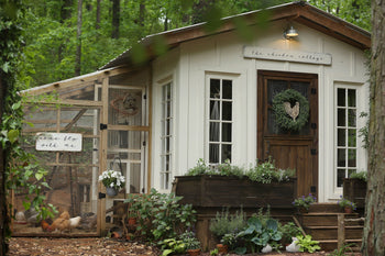 Recommended Chicken Coop Supplies & Equipment for Every Flock Owner