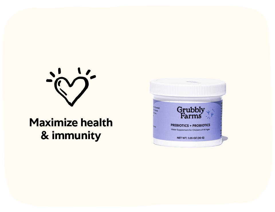Water Supplement Bundle