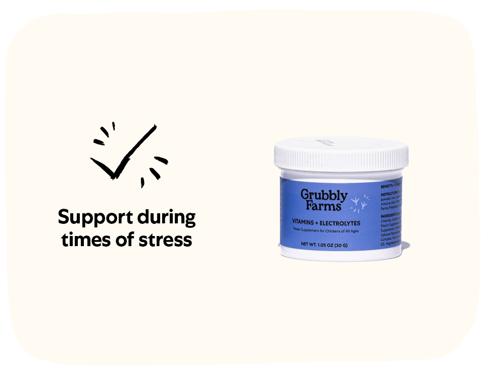 Water Supplement Bundle