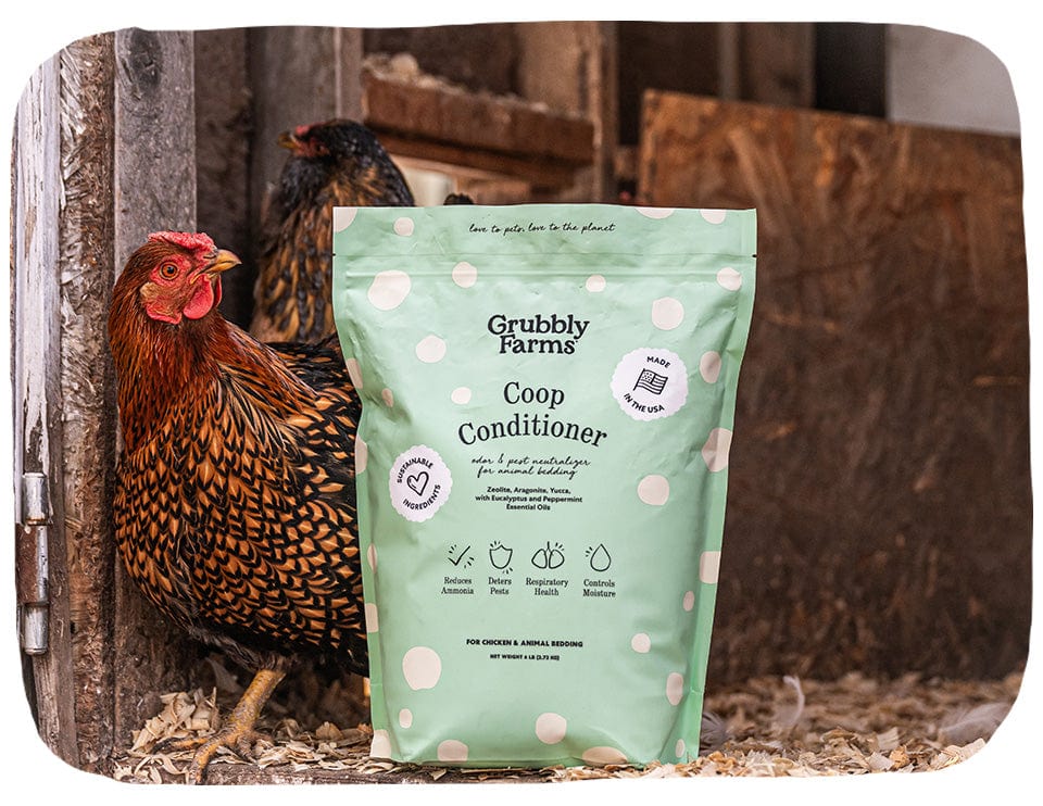 Coop Conditioner