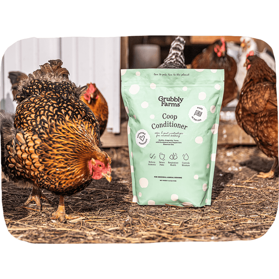 Grubbly Farms Coop Conditioner package with chickens in the background
