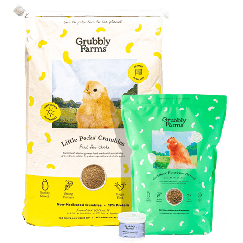 Chick Starter Bundle