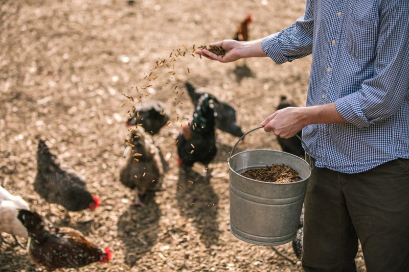 How Georgia Tech grads are fighting food waste (and how you can, too)