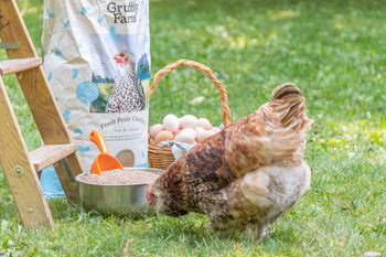 Grubbly Farms redefines chicken feed — a pound of grubs at a time