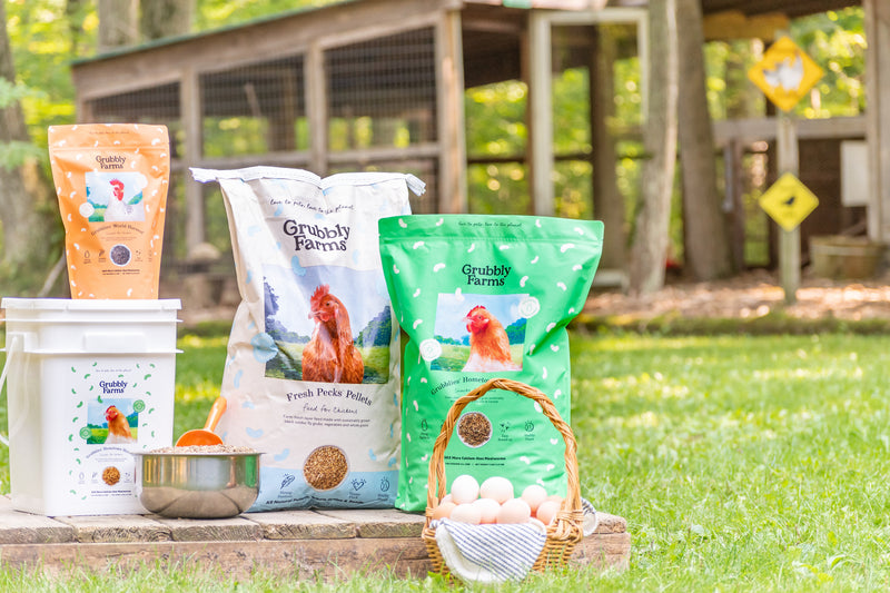 Grub Hub: Grubbly Farms turns food waste into sustainable pet food