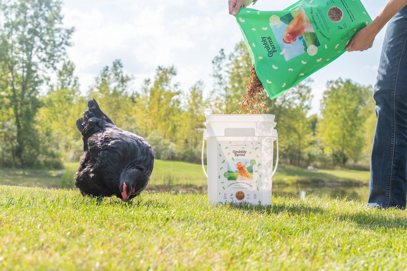 Grubbly Farms Tries A New Tack On Insects For Food: The Animal Market