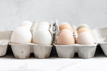 Comparing Chicken Eggs vs Duck Eggs: Everything You Need to Know