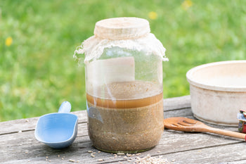 How to Ferment Chicken Feed for Healthier Hens