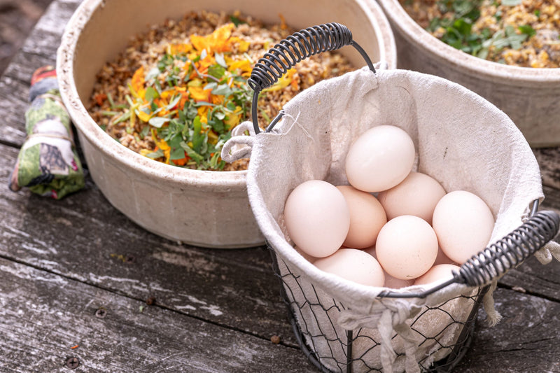 How and Why Your Chicken’s Eggs Flavor Can Change Throughout the Year