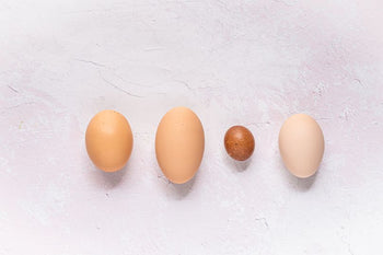 What Your Chicken’s Eggs Are Saying About Their Health