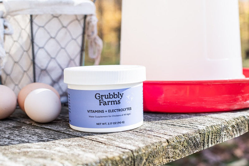 Considering Chicken Supplements? Let’s Talk Vitamins and Why They’re Important