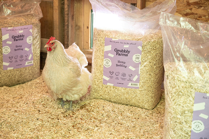 The Deep Litter Method for Your Chicken Coop: A Winter Guide