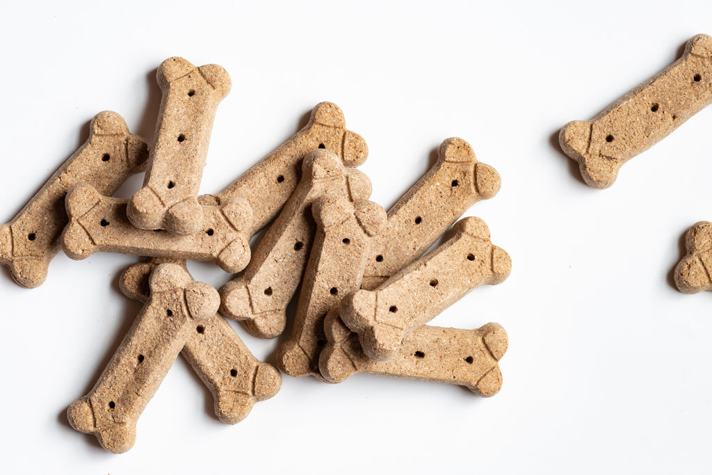 Harmful Ingredients Commonly Found in Dog Treats
