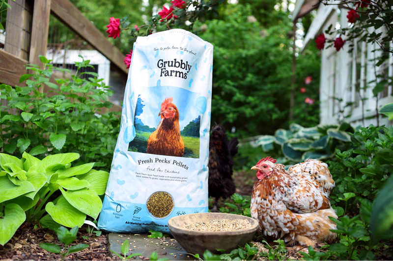 How to Read Your Feed: Chicken Feed Labels Explained