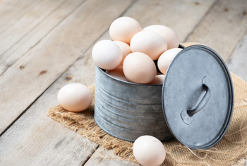 eggs from best egg laying breeds