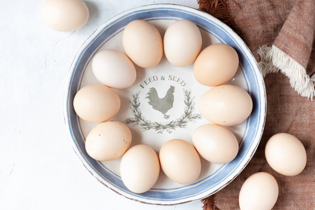 Egg Holder Countertop Egg Storage, Egg Baskets for Fresh Eggs