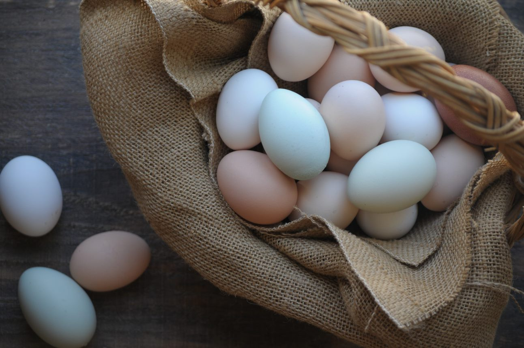 What to Do with Extra Backyard Eggs