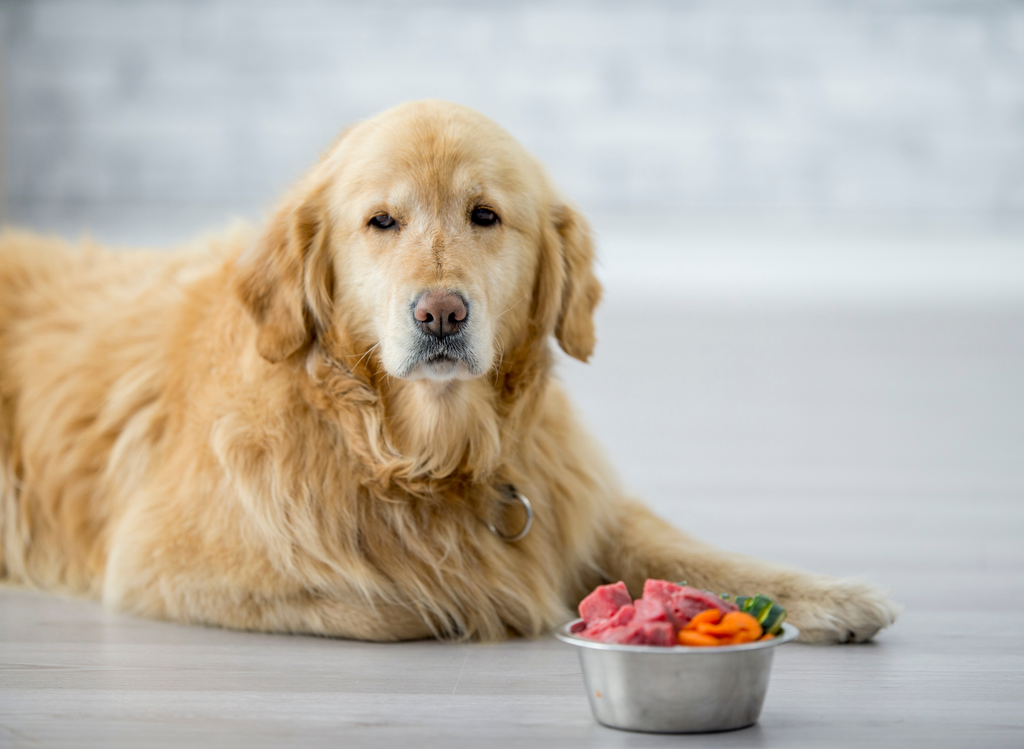 3 Easy & Healthy Homemade Dog Food Toppers for Picky Eaters