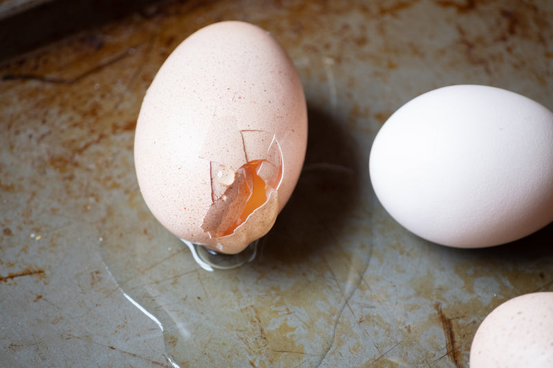 How to Prevent Chickens from Eating Their Eggs