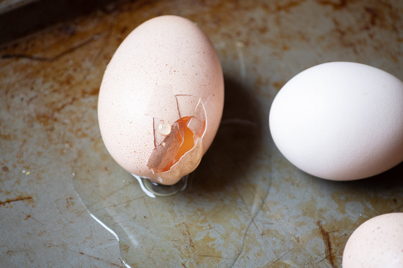 How to Prevent Chickens from Eating Their Eggs