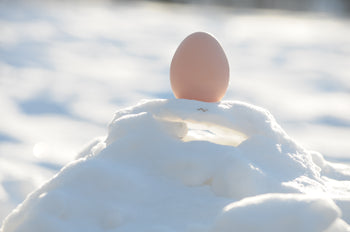 egg in snow