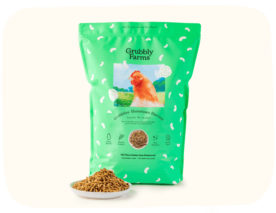 Chick Starter Bundle