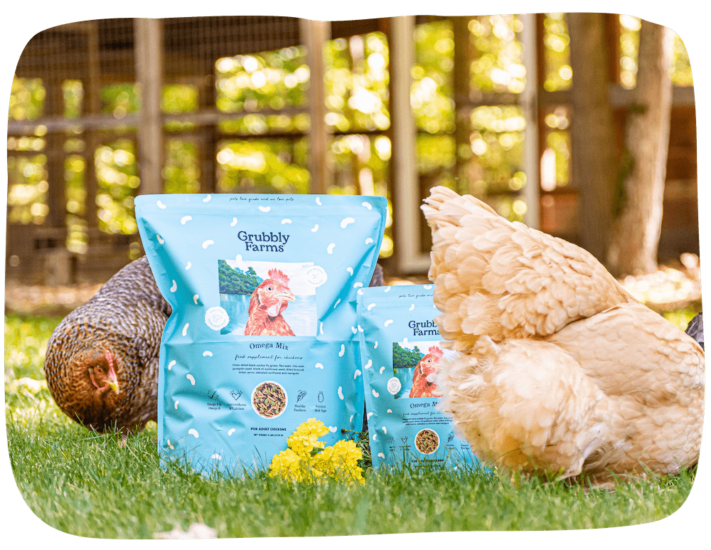 Egg Bundle - Hometown Harvest