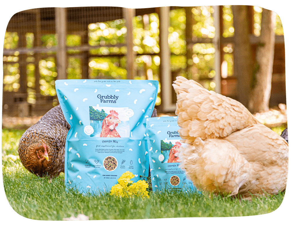 omega-mix-chicken-feed-topper-treat-grubbly-farms