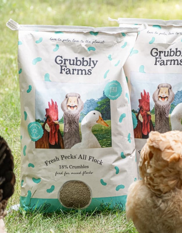 Fresh Pecks All Flock