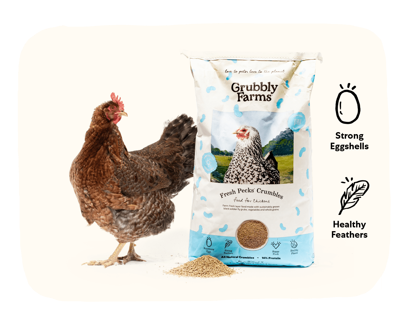 Fresh Pecks Chicken Feed Chicken Layer Feed with Grub Protein
