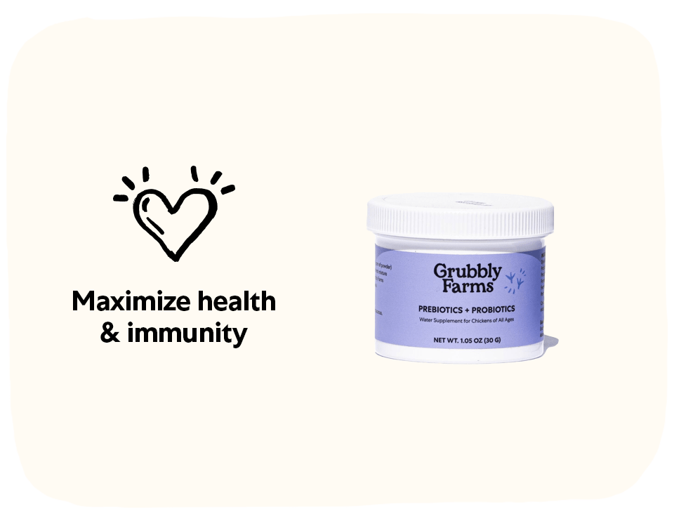 Chick Starter Bundle