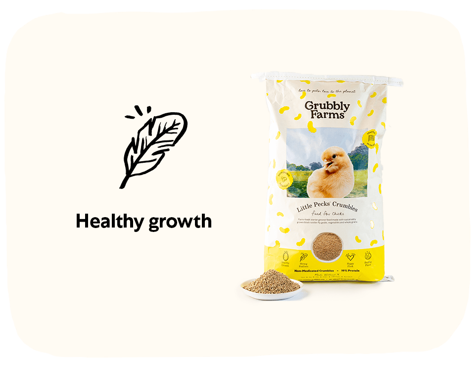 Chick Starter Bundle