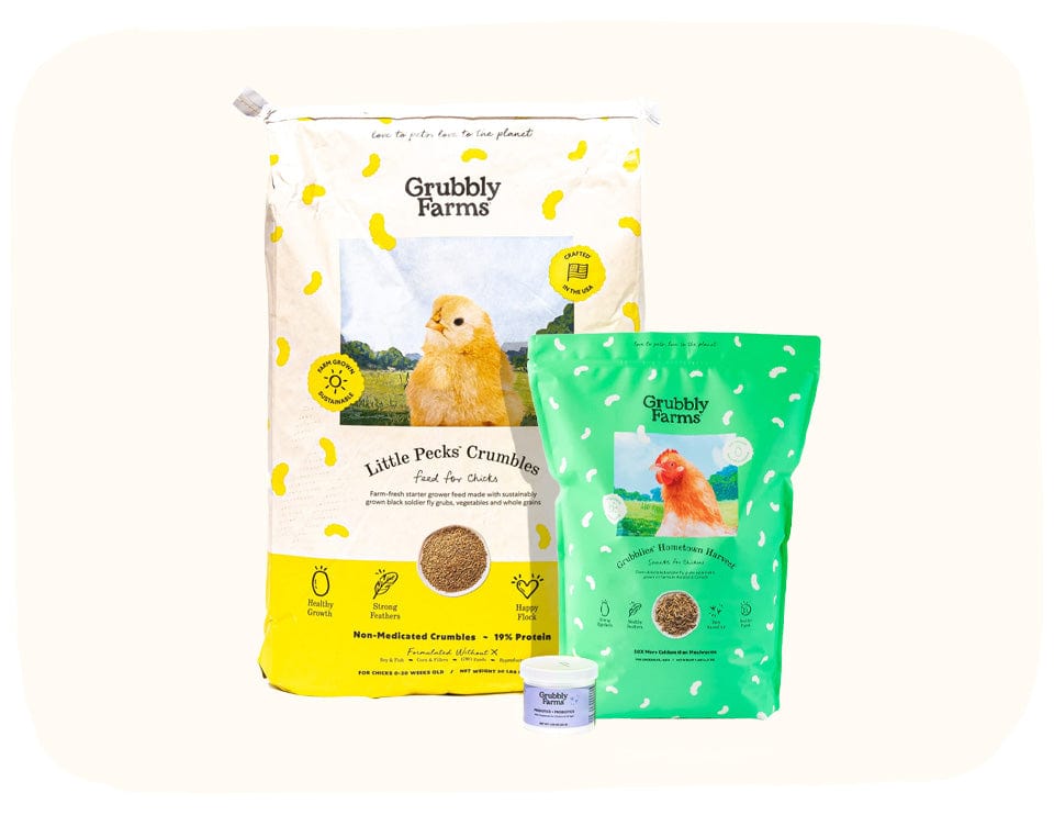 Chick Starter Bundle