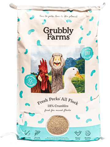 Fresh Pecks All Flock