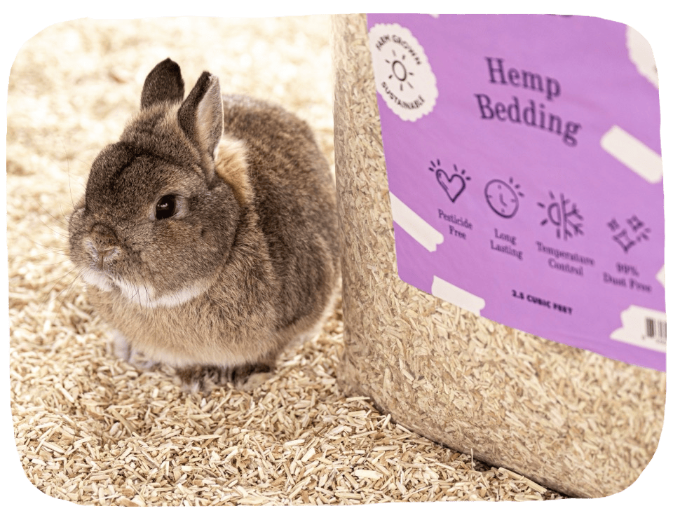 Hemp Bedding