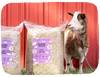 Goat standing next to two bags of 'Grubbly Farms' hemp bedding against a red background