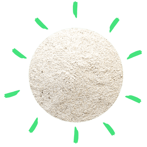 Chicken Coop Droppings Boards: How and Why to DIY Your Own