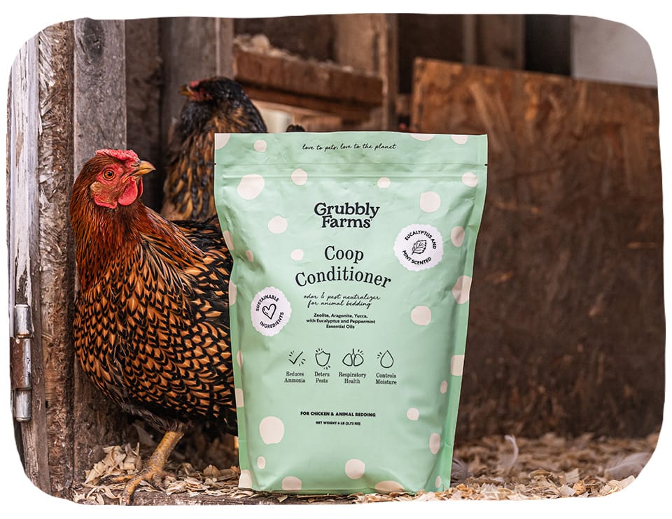 Coop Conditioner