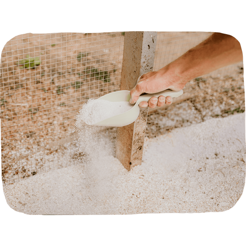 Coop Conditioner: Chicken Coop Odor Eliminator | Grubbly Farms