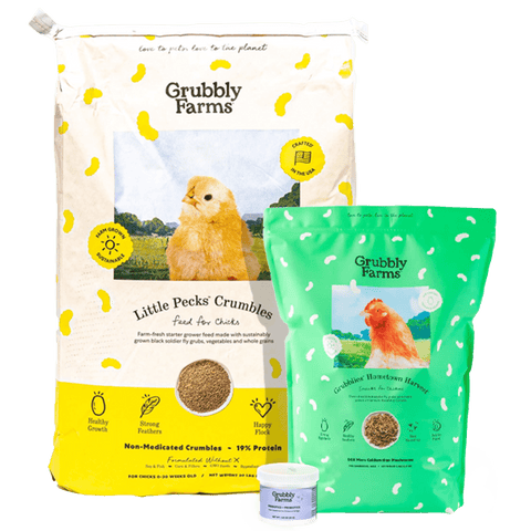 Chick Starter Bundle