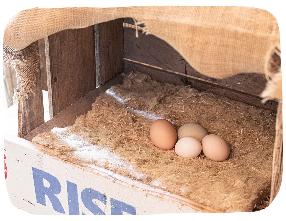 Hemp Fiber Nesting Pads