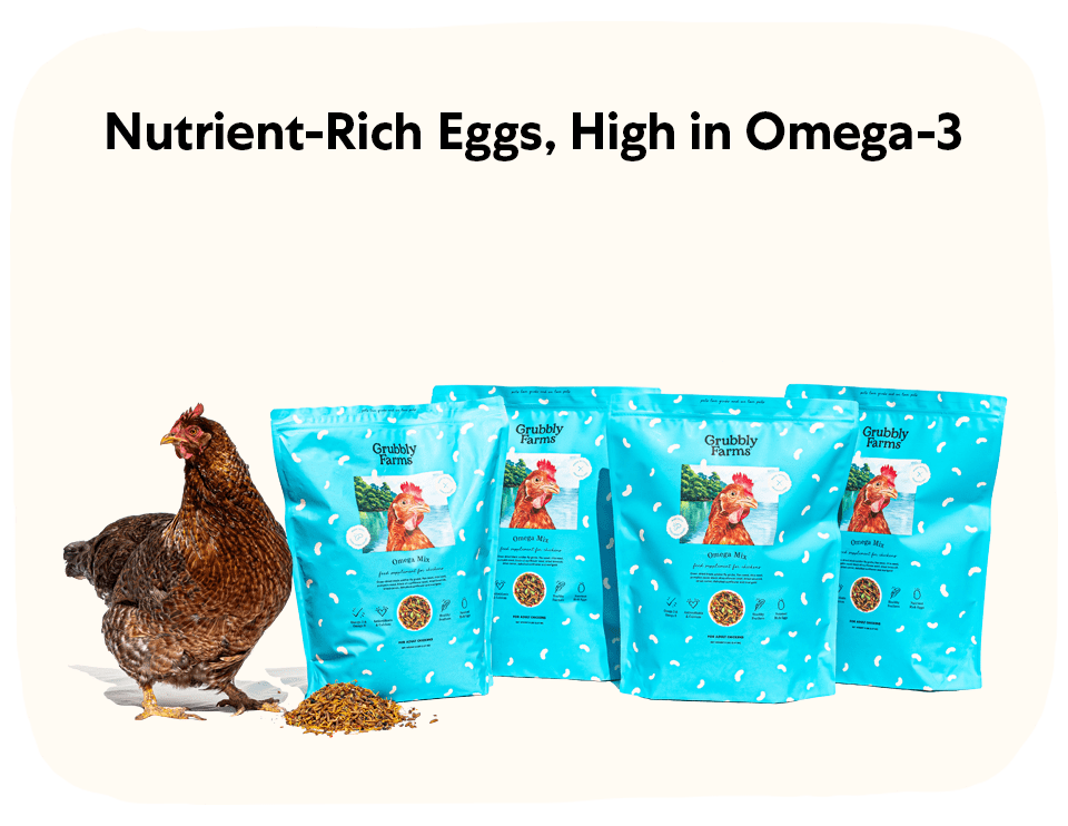 Image showcasing Omega Mix Chicken Feed Topper & Treat | Grubbly Farms