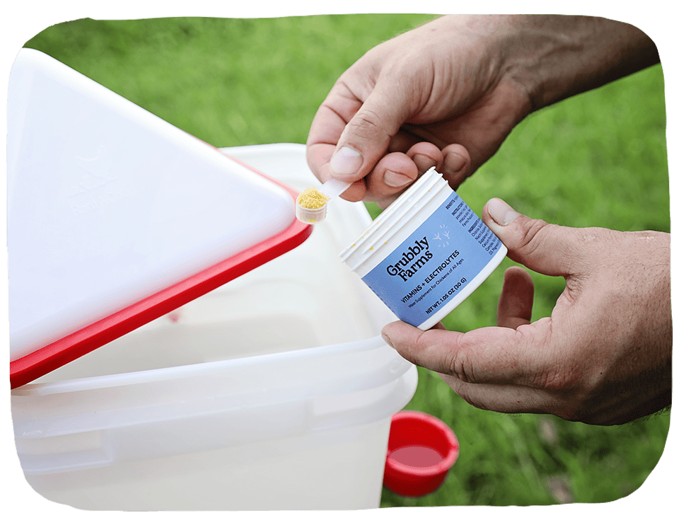 Vitamins + Electrolytes