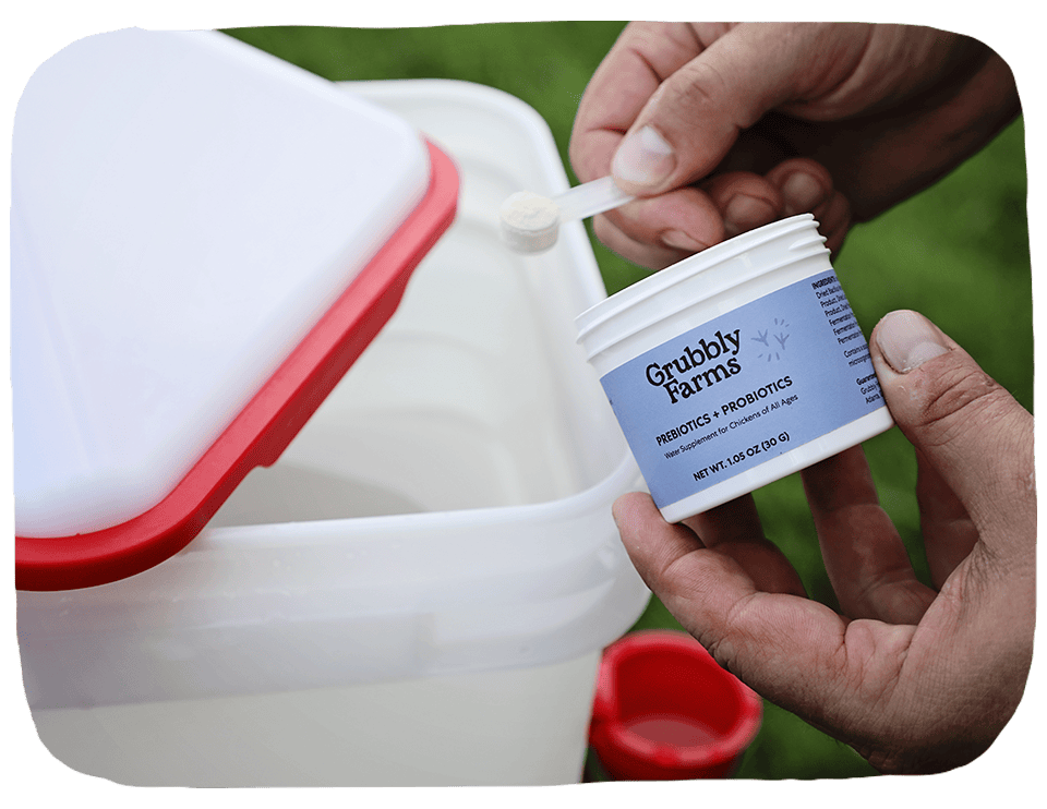 Prebiotics + Probiotics