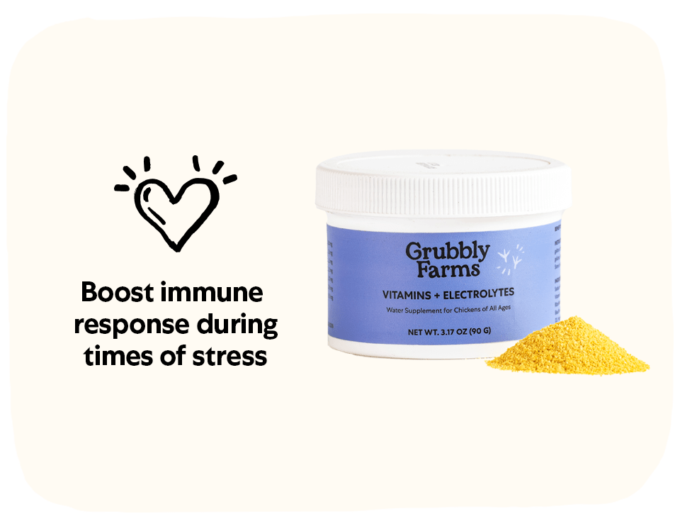 Vitamins + Electrolytes 