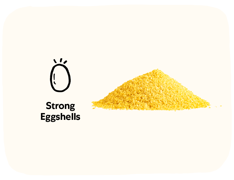 Vitamins + Electrolytes