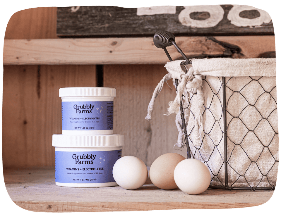 Vitamins + Electrolytes